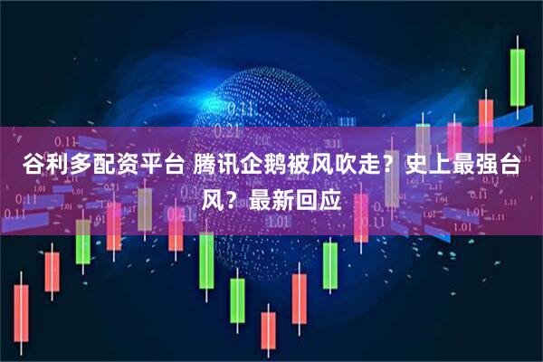谷利多配资平台 腾讯企鹅被风吹走？史上最强台风？最新回应