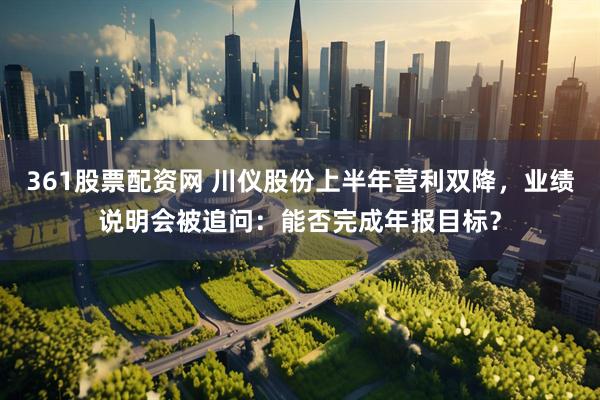 361股票配资网 川仪股份上半年营利双降，业绩说明会被追问：能否完成年报目标？