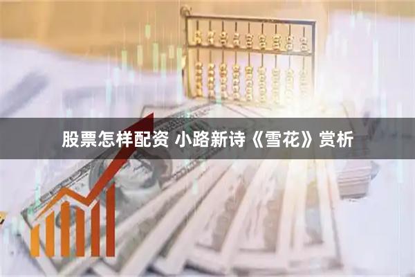 股票怎样配资 小路新诗《雪花》赏析