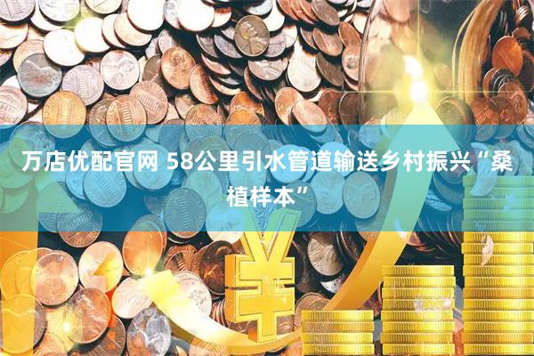 万店优配官网 58公里引水管道输送乡村振兴“桑植样本”